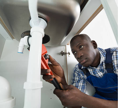 imagen de un experto